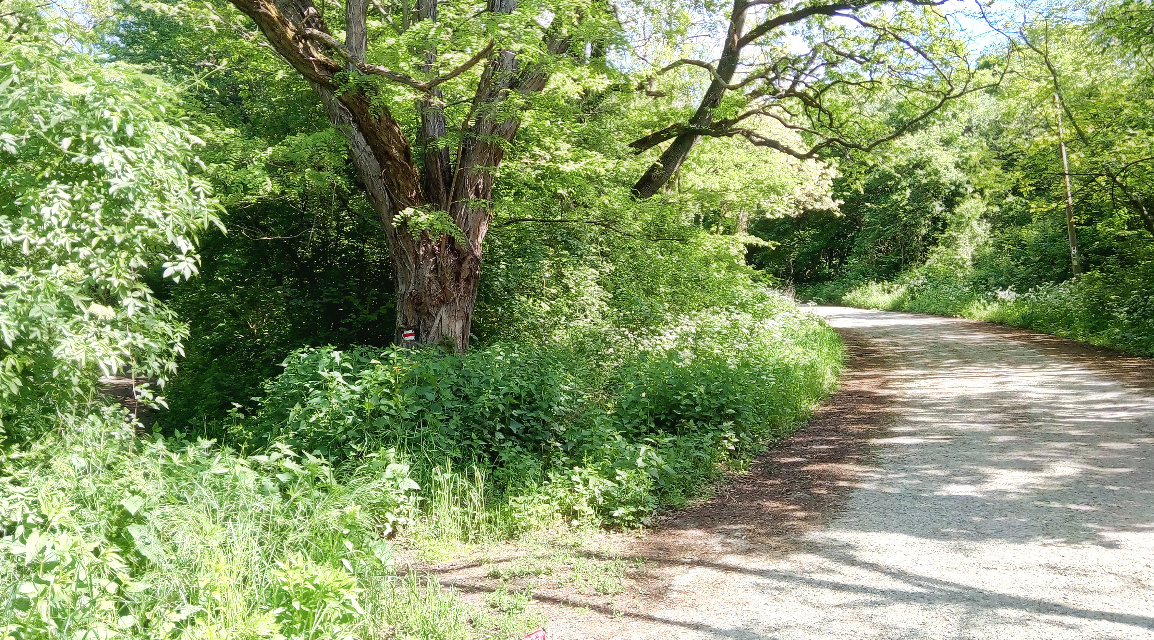 Moonlight-dike, start of the path