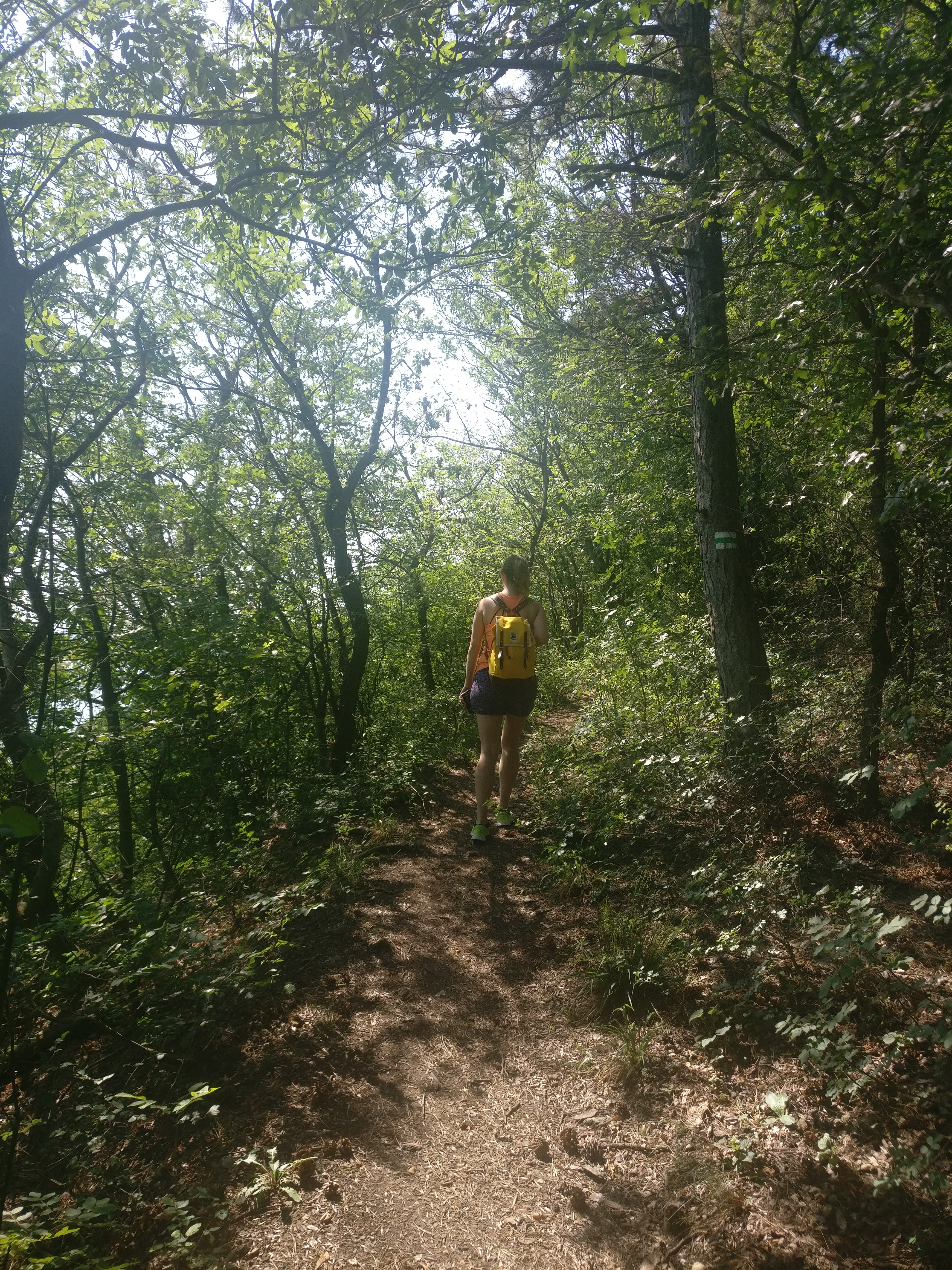Walking up to the Gallows Hill