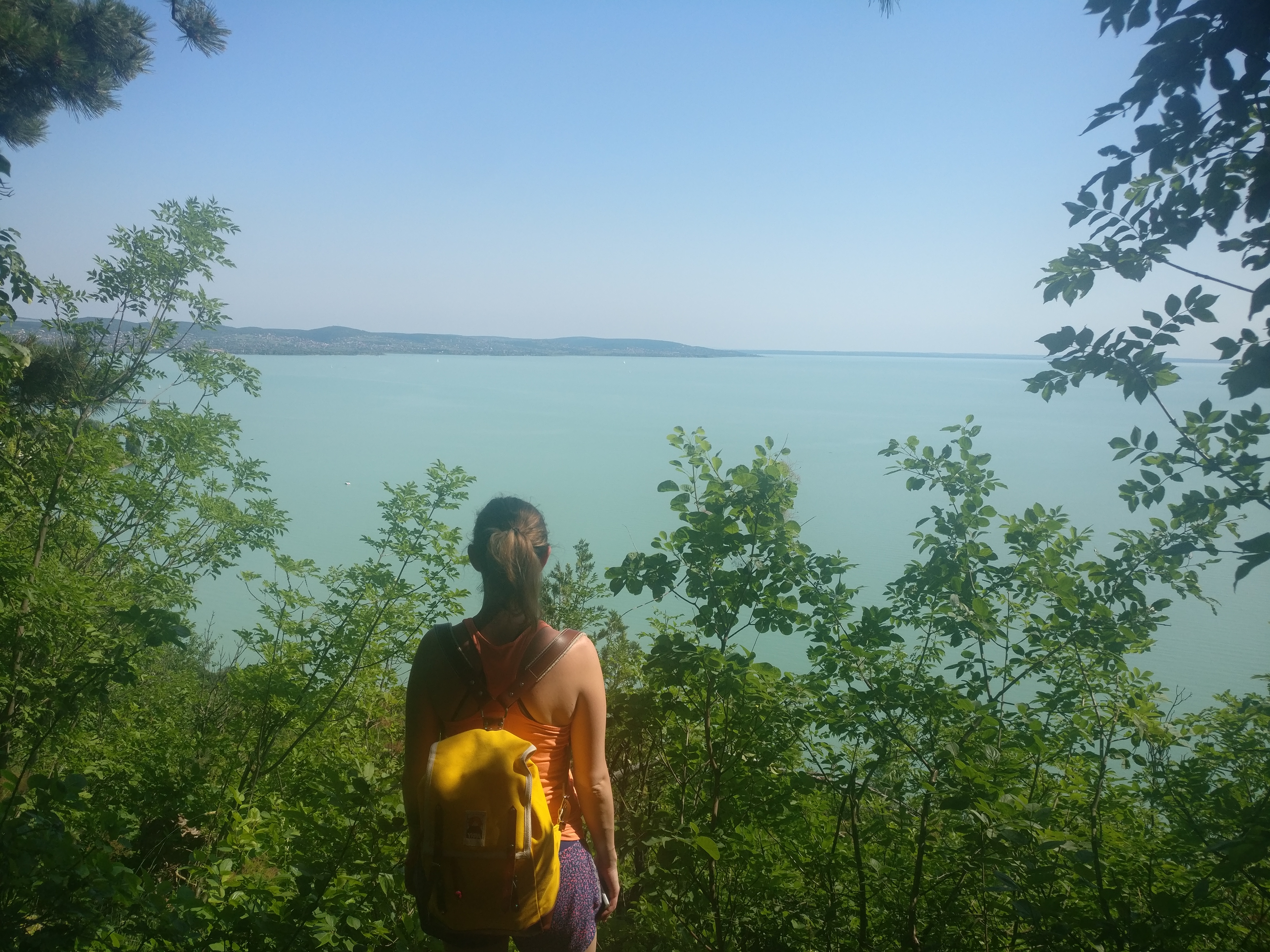 View from the Gallows hill