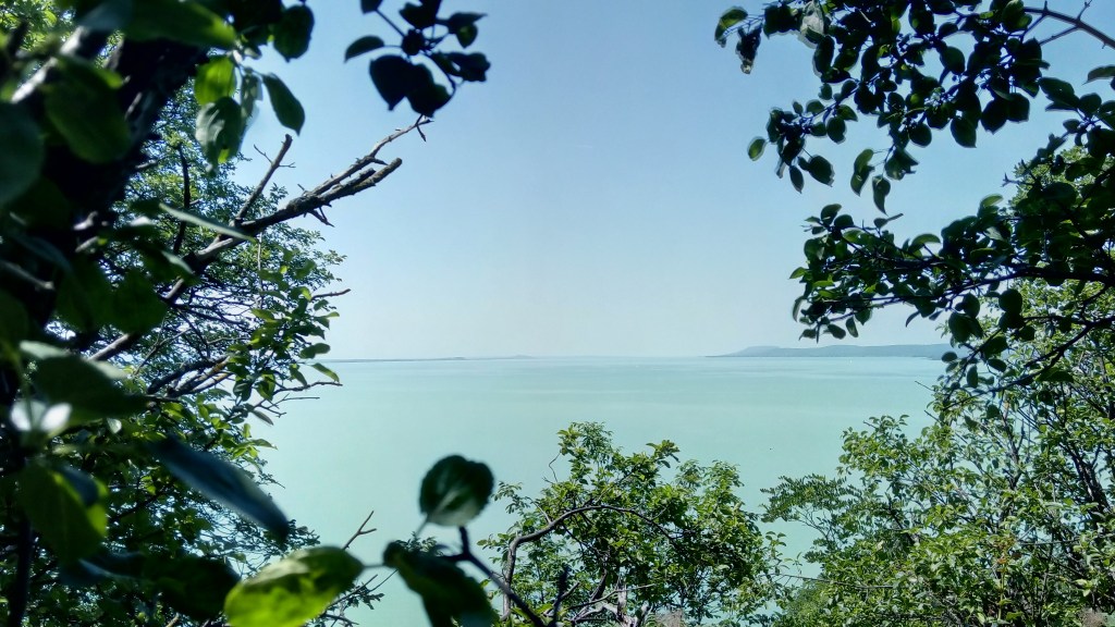 Glimpse of the Balaton through the branches