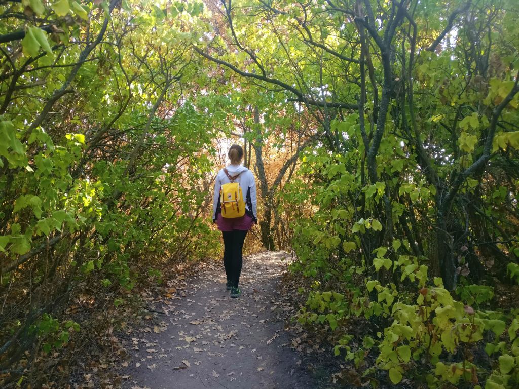 Walking on the paths among trees