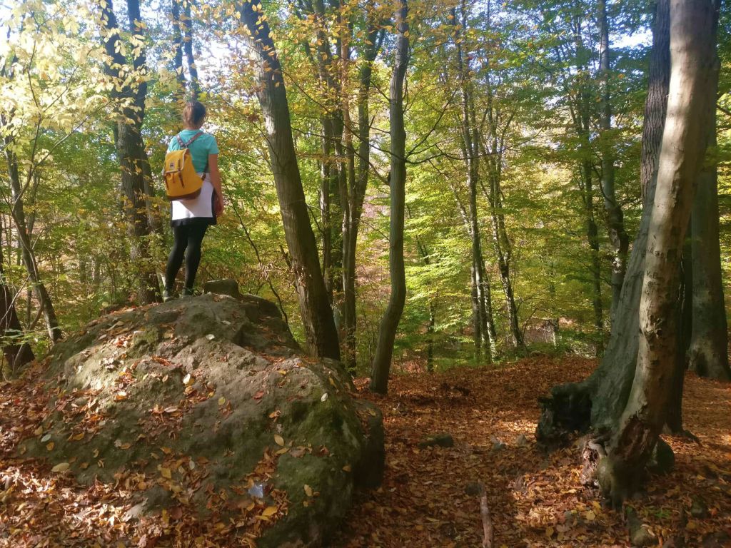 Standing on a bigger rock