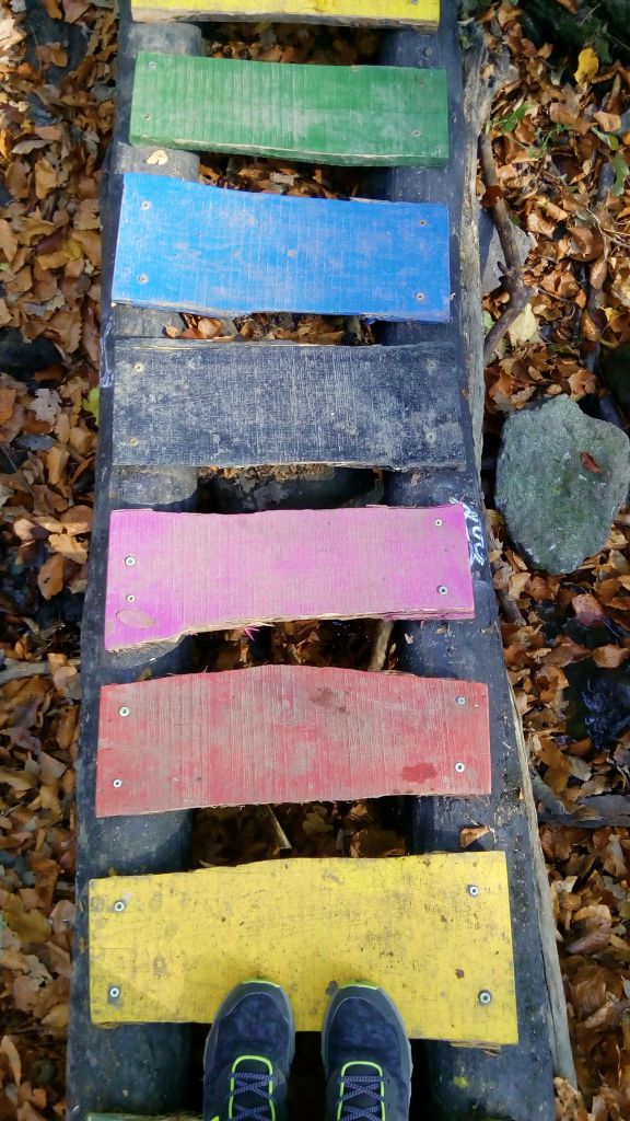 Standing on the colorful wooden bridge