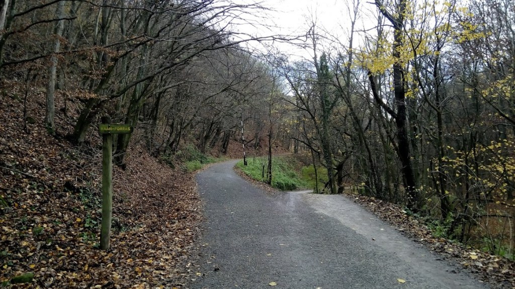 Wooden sign showing the way to Kaán spring