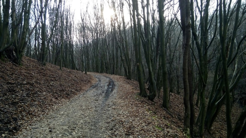 Road leading back to Pilisszentlászló