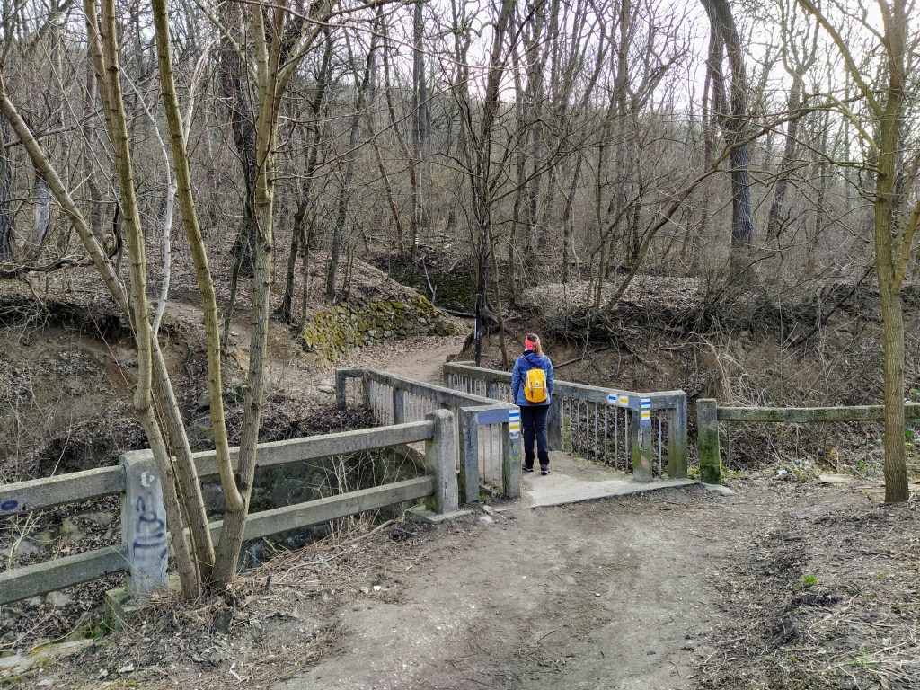First steps on the trail