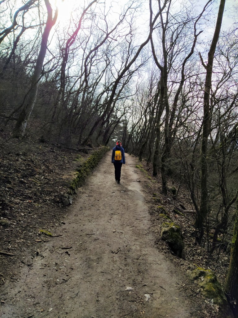 Walking up the path to Árpád kilátó, surrounded by trees