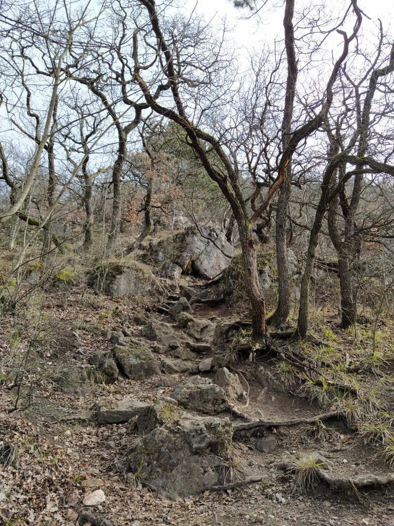 Rock 'stairs' next to the Blue Trail