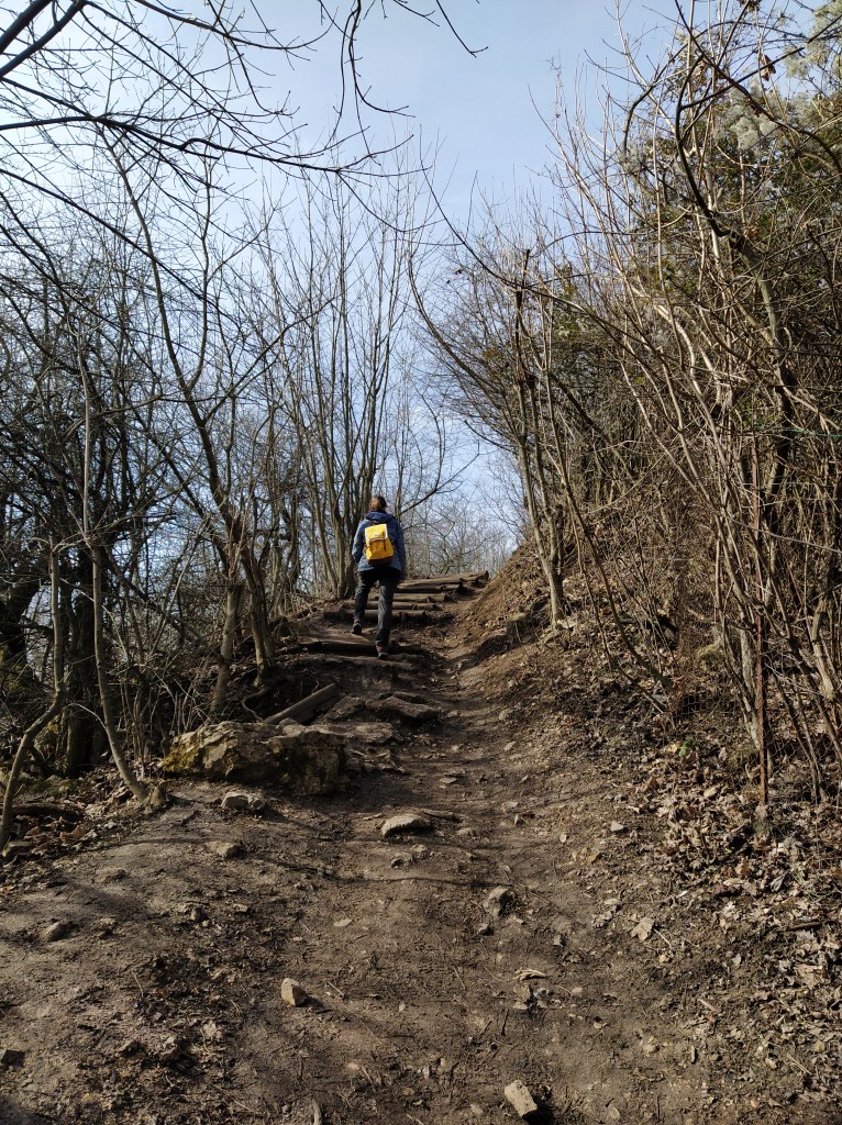 Climbing up to the peak of Hármashatár mountain