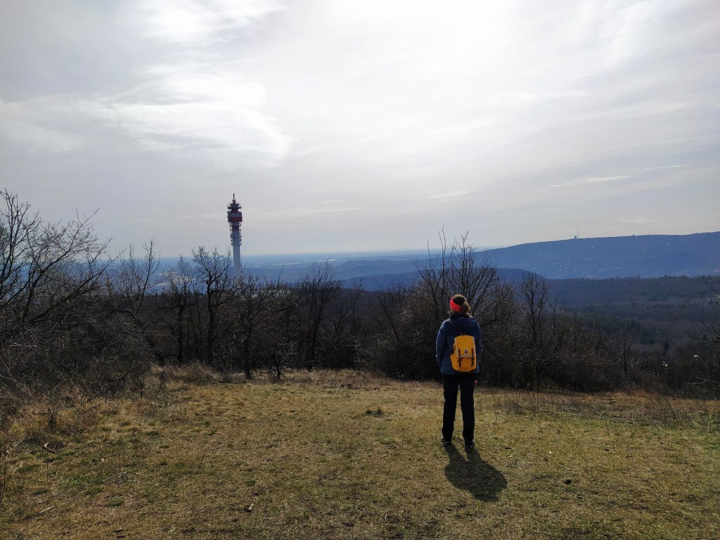 Looking at the radio tower, in the background the city of Budapest