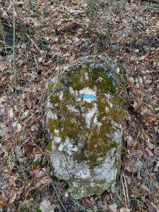 Blue Trail sign on a rock