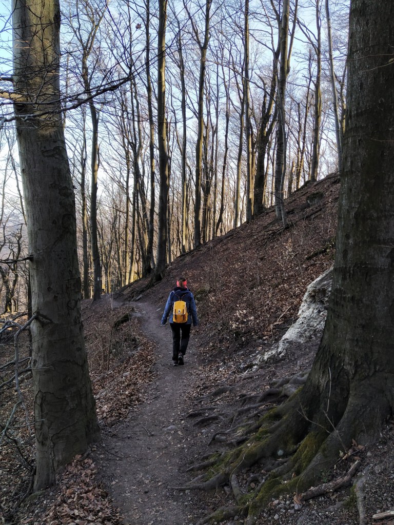 Walking along the path, trees dotted around
