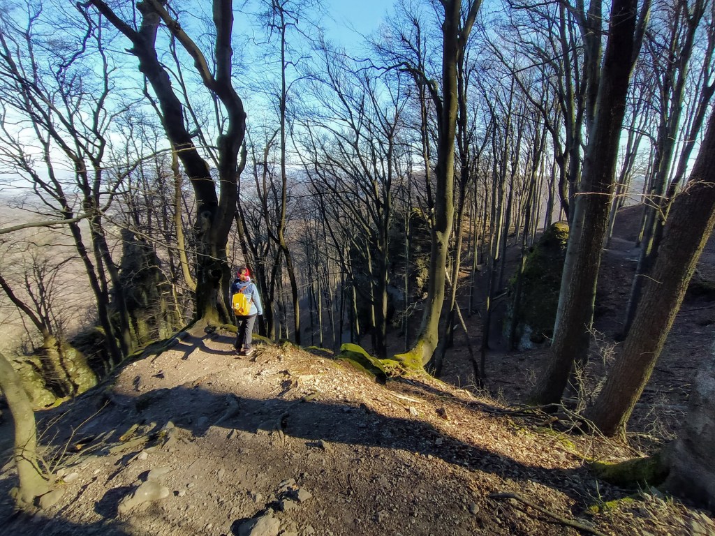 Clearing between the trees