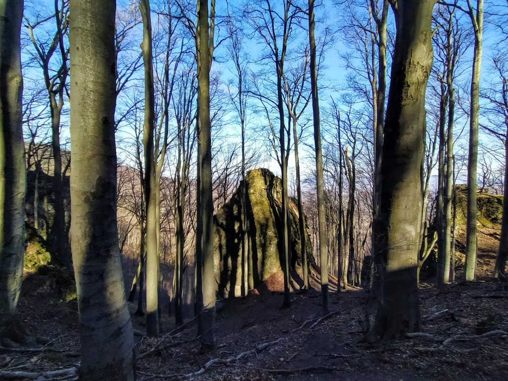 Rock formation between the beech trees