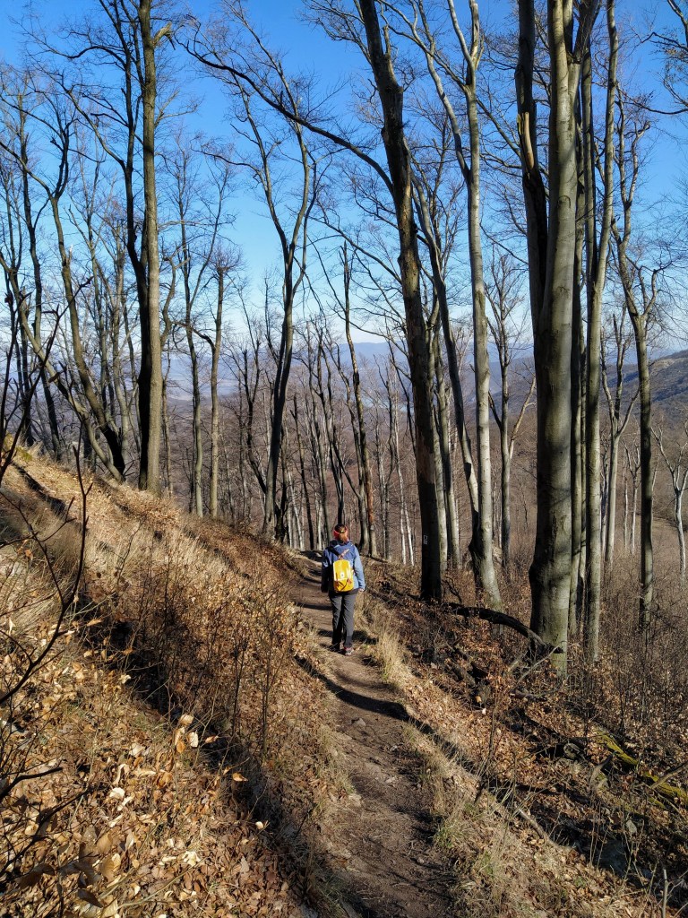 Walking on a narrow path, Danube in the background