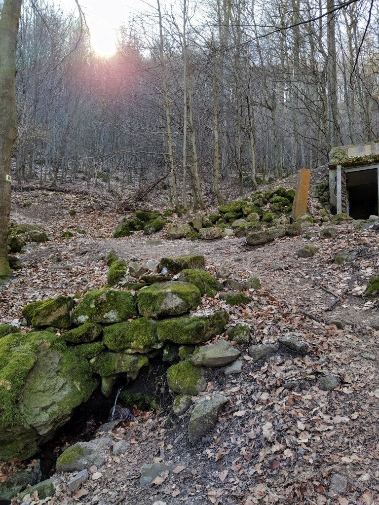 The Nagyboldogasszony spring, well house in the background