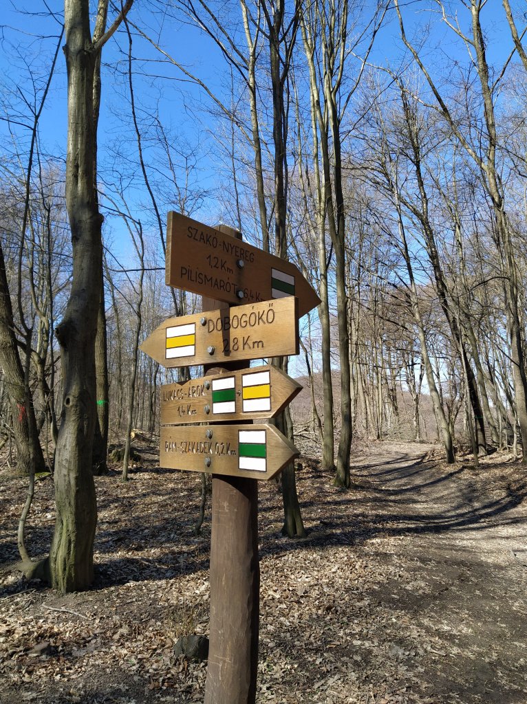 Wooden path signs