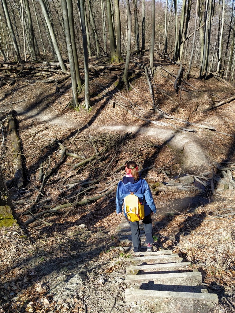 Walking down to a trench on wooden stairs