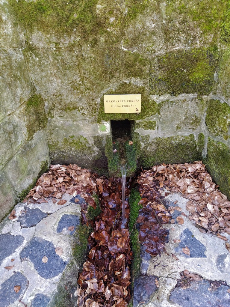 The moss covered spring