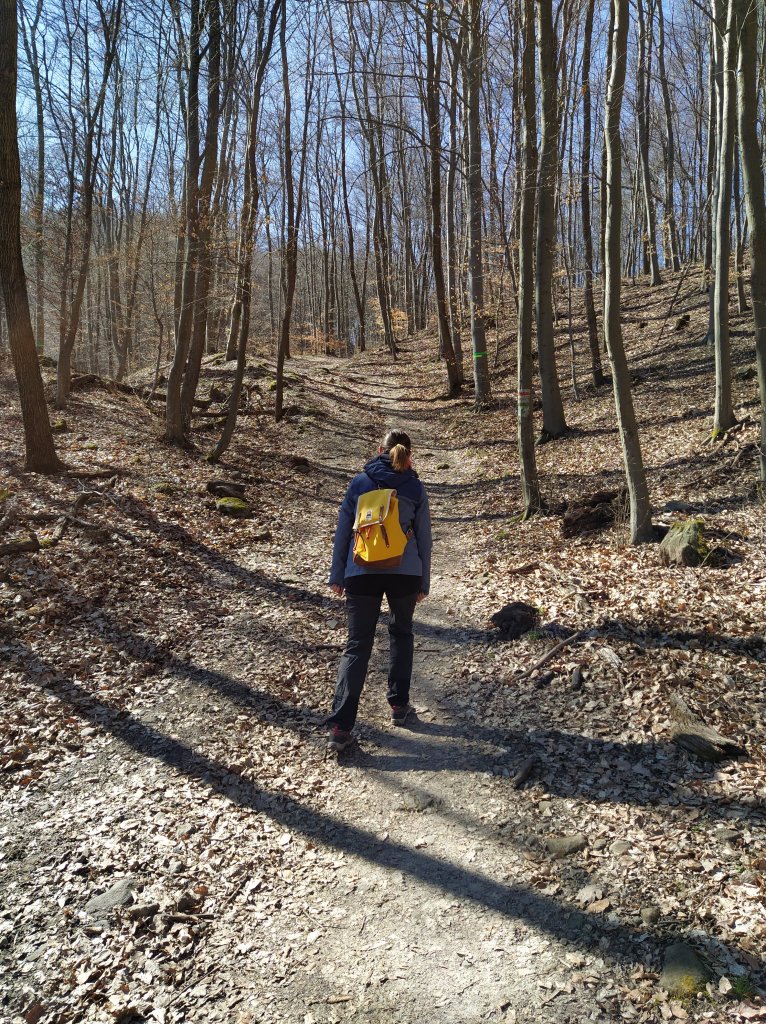 Hiking