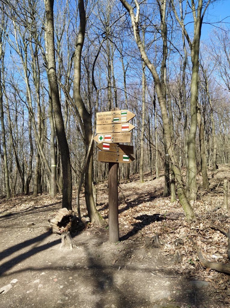 Hiking trail intersection, wooden path signs in the background