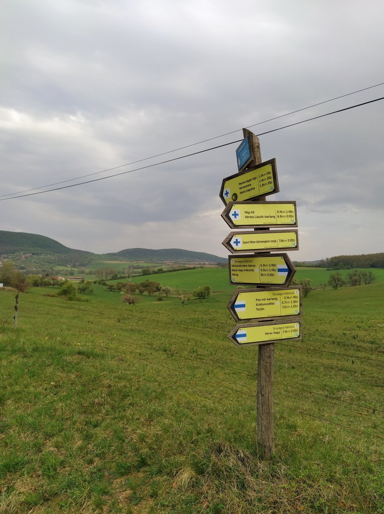 Trail signs at the sight of the road