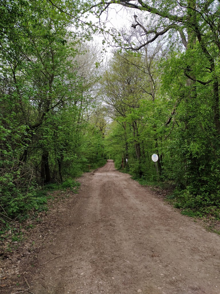 Beginning of the trail