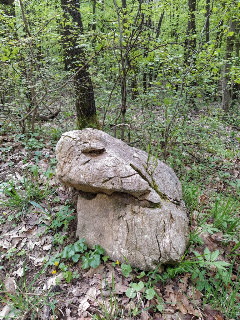 Interesting looking rock at the side of the path