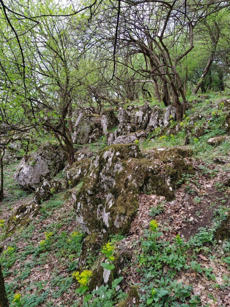 White rocks of the Pes-kő cliff covered in moss