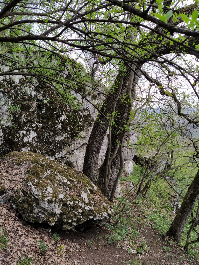 White rocks of the Pes-kő cliff