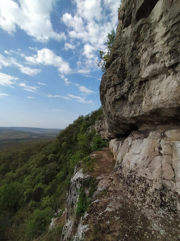 Narrow cliff ledge, forest and fields below