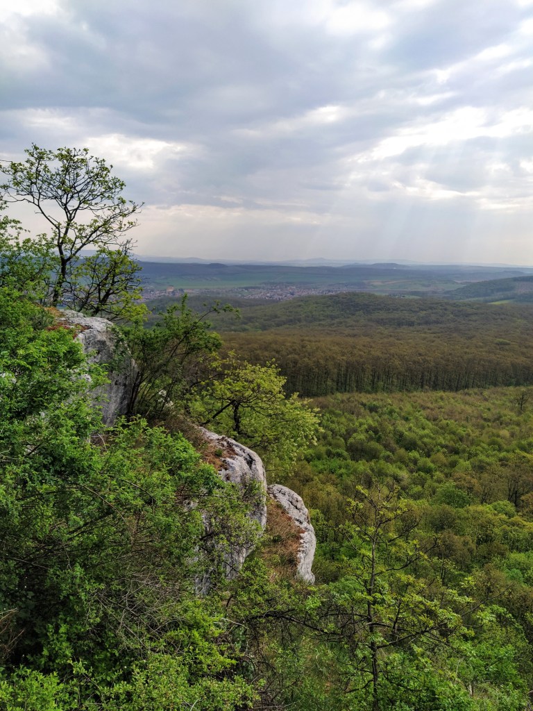 Trees growing on the rocks, sunlight streaming through the clouds in the background